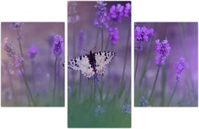 Tablou - fluture în lavandă (90x60 cm)