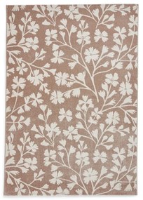 Covor maro deschis 120x170 cm Grace Floral – Catherine Lansfield
