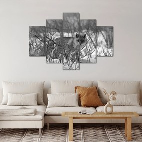 Tablou - Vulpe în timpul iernii (150x105 cm)