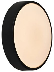 Aplica de perete / tavan exterior IP54 Oliver Black