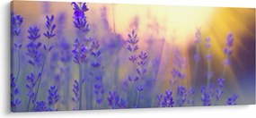 Tablou - Levănțică (120x50 cm)