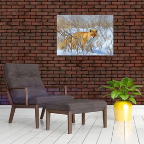 Tablou - Vulpe (70x50 cm)