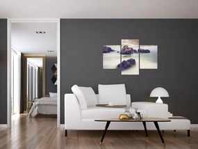 Tablou cu stânci în ceață (90x60 cm)
