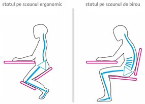 Scaun ergonomic, petrol  fag, FLONET