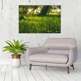 Tablou cu natura - lunca (90x60 cm)