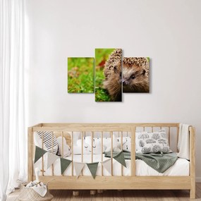 Tablou cu arici (90x60 cm)