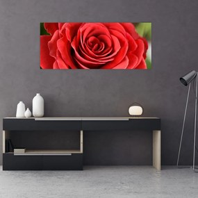 Tablou - Flori de trandafir (120x50 cm)