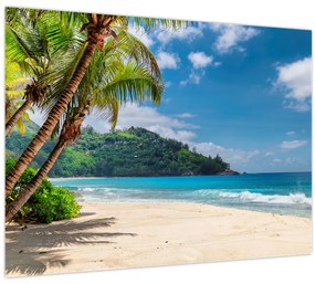 Tablou - Caraibe (70x50 cm)