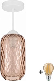 BRILAGI - LED plafonieră aplicată R GLASS 1xE27/60W/230V Ø 14 cm alb/maro fumuriu