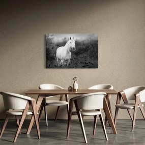 Tablou - Cal alb în poină (90x60 cm)