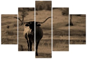 Tablou - Vacă din Texas (150x105 cm)