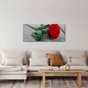 Tablou - Trandafir roșu cu tulpină verde (120x50 cm)