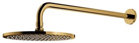 Para de dus cu suport fix Omnires Slimline auriu