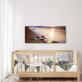 Tablou - Scoici (120x50 cm)