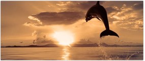 Tablou - Delfin la apus de soare (120x50 cm)