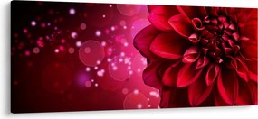 Tablou cu floare roșie (120x50 cm)