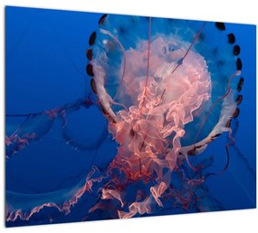 Tablou - Medusa (70x50 cm), în 40 de alte dimensiuni noi