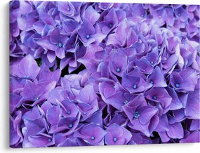 Tablou cu flori violete (70x50 cm)