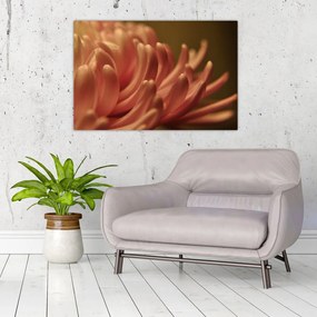 Tablou cu detailu florii (90x60 cm)