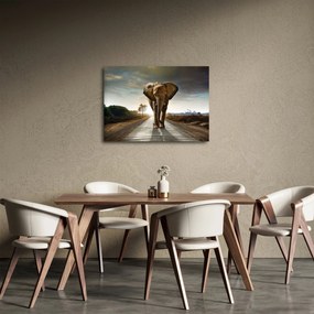 Tablou cu elefant (70x50 cm)