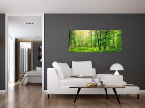Tablou - Pădurea cu frunze de primăvară (120x50 cm)