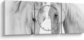 Tabou - Cai albi (cu ceas) (90x30 cm)