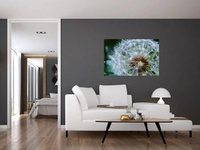 Tabloul cu păpădie desflorit (90x60 cm)