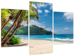 Tablou - Caraibe (90x60 cm)