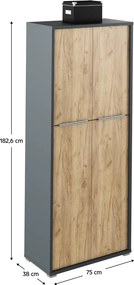 Dulap cu poliţe, grafit / stejar artizanal, RIOMA NEW TYP 07