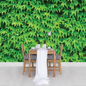 Fototapet - Frunze (152,5x104 cm)