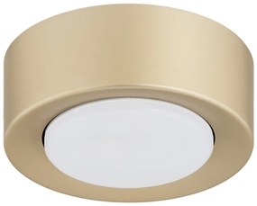 Spot tavan, Mini plafoniera ELORA 8903 auriu