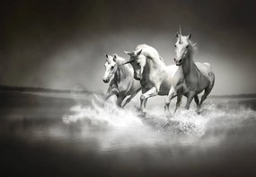 Fototapet - Unicorn (152,5x104 cm)