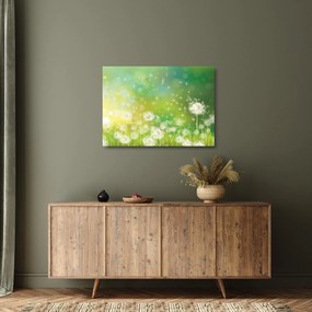 Tablou pe sticlă - Păpădie înflorită (70x50 cm)