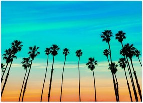 Tablou - California (70x50 cm)