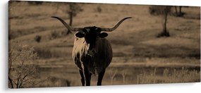 Tablou - Vacă din Texas (120x50 cm)