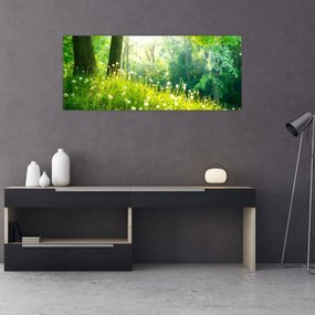 Tablou - Pajiște magică plină de păpădii (120x50 cm)