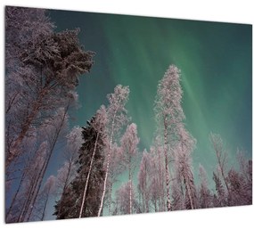 Tablou cu aurora borealis deasupra pomilor înghețați (70x50 cm)