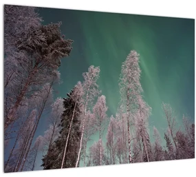 Tablou cu aurora borealis deasupra pomilor înghețați (70x50 cm)