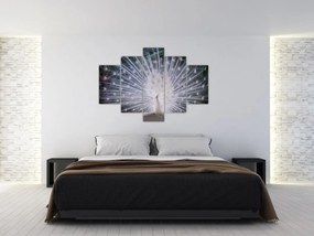 Tablou - Păun alb (150x105 cm)