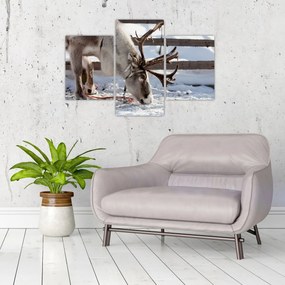 Tablou - Sâmbătă (90x60 cm)