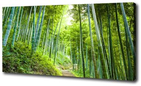 Tablou canvas Pădure de bambus
