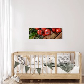 Tablou cu rowan și scorțișoară (cu ceas) (90x30 cm)