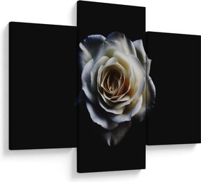 Tablou cu trandafir alb (90x60 cm)