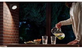 Aplică LED de exterior MIMOSA LED/7W/230V 4000K IP44 Philips