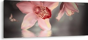 Tablou - Flori și fluture (120x50 cm)