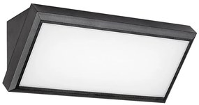 Aplică LED de exterior RAPLA LED/12W/230V IP54 Rabalux 7282