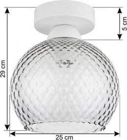 BRILAGI - Plafonieră LED R GLASS 1xE27/60W/230V Ø 25 cm alb/gri fumuriu