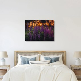 Tablou pe sticlă - Flori de lupin (70x50 cm)
