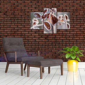 Tablou - Detaliu frunze (90x60 cm)