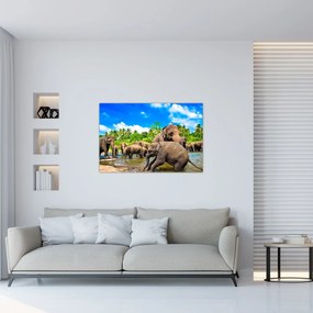 Tablou - Elefanți, Sri Lanka (90x60 cm)